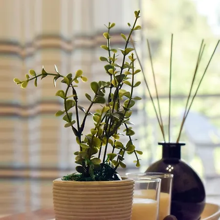 Apartmán Sunny House 24 Néa Péramos