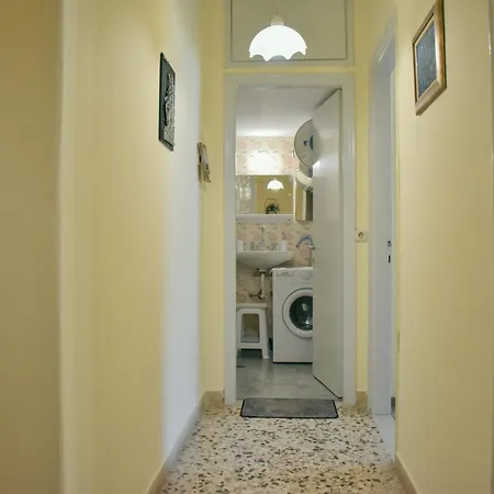 Sunny House 24